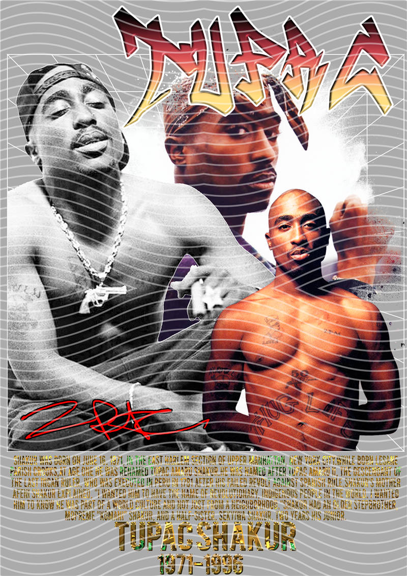 Rapper-SC 51